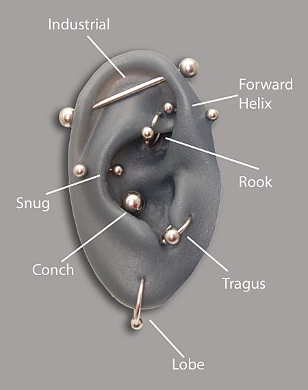 body piercings names and pictures. Piercing Names